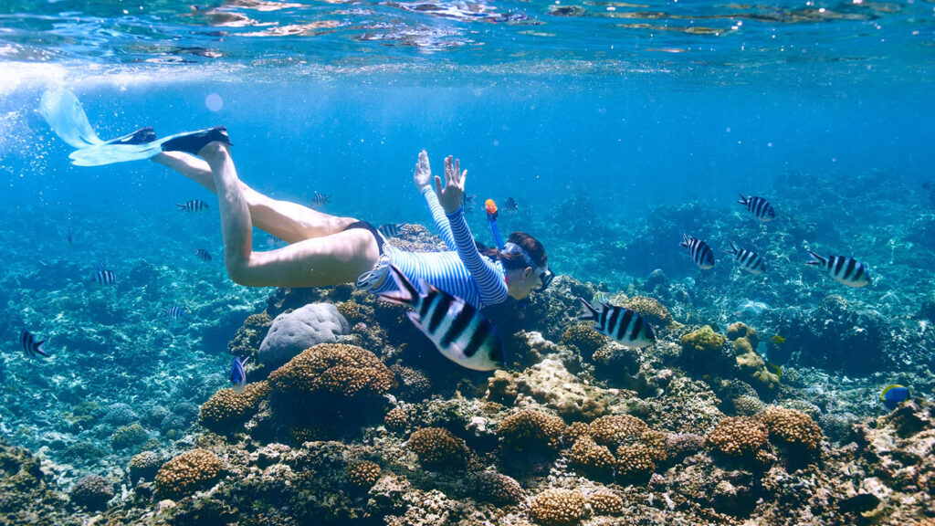 woman snorkeling in coral reef