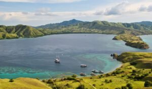 Marine life during Komodo National Park diving adventure