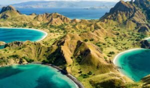 Marine life during Komodo National Park diving adventure