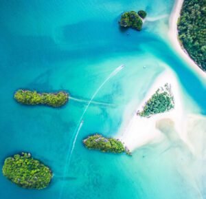 Marine life during Komodo National Park diving adventure