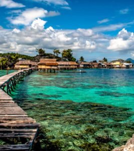 This is image of sulawesi view with sea