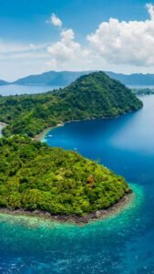 Teman Liveaboard logo