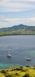 Marine life during Komodo National Park diving adventure