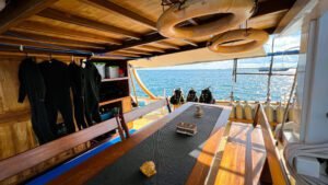 Dive Deck With Shell Scaled
