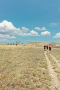 Group Of People Walking On Dried Grassland
