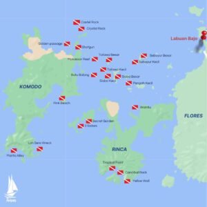Marine life during Komodo National Park diving adventure