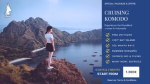 Marine life during Komodo National Park diving adventure