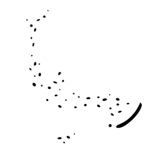 Triton Bay White
