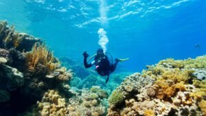 komodo liveaboard