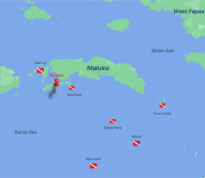Diving Banda Sea In 10 Nights