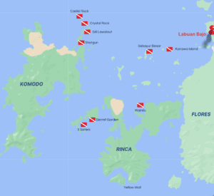Diving Komodo In 3 Nights