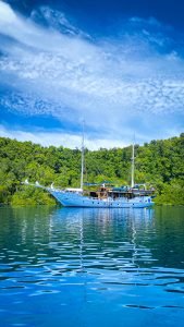 teman-liveaboard-in-raja-ampat-yangello