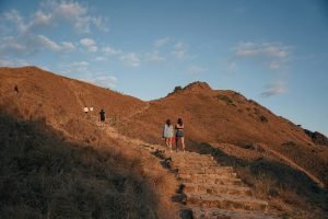 Guest Trekking