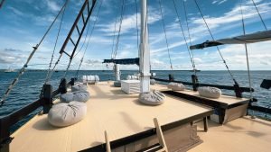 Teman Liveaboard logo
