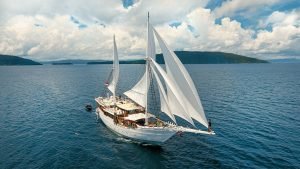 liveaboard cruise