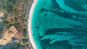 komodo national park