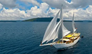 teman Liveaboard