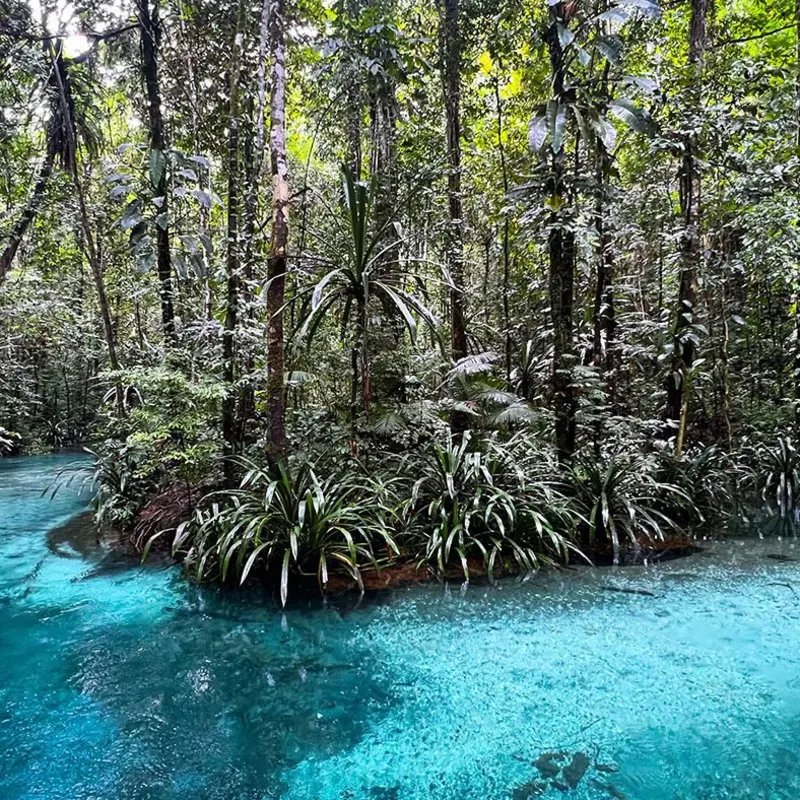 Rivière Bleue, Raja Ampat