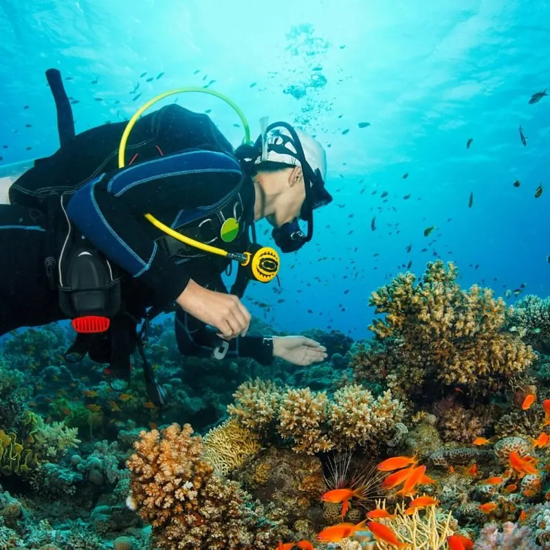 Cap Kri, Raja Ampat