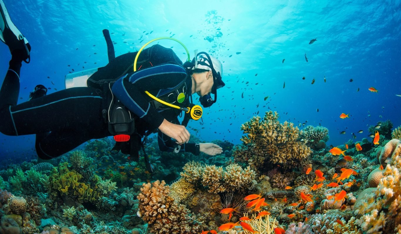 Diver over a coral reef